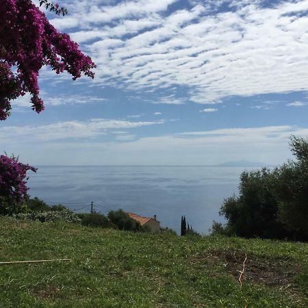Appartamento 80 Route De San Martino Bastia  Esterno foto