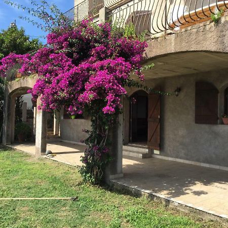 Appartamento 80 Route De San Martino Bastia  Esterno foto