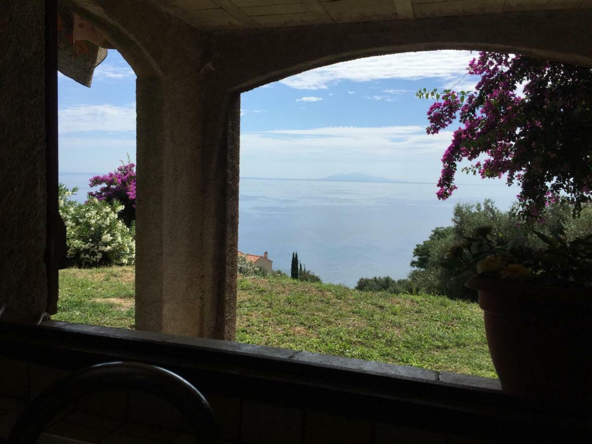 Appartamento 80 Route De San Martino Bastia  Esterno foto