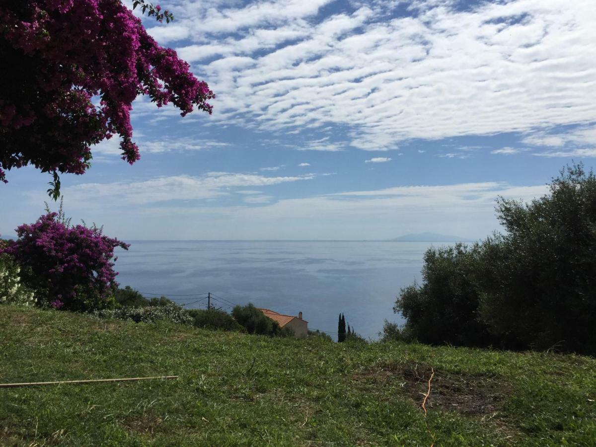Appartamento 80 Route De San Martino Bastia  Esterno foto